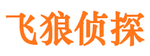 陕西市侦探调查公司